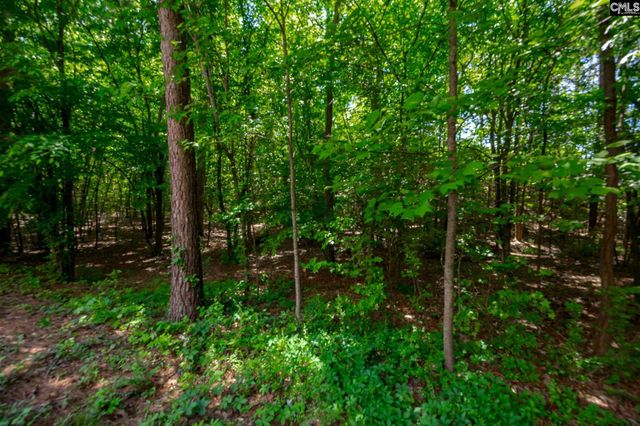 221 Allenbrooke Drive, Lexington, SC 29072