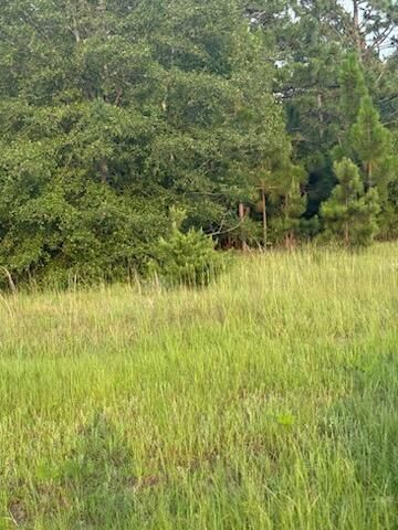 5584 Rosemont Drive, Appling, GA 30802