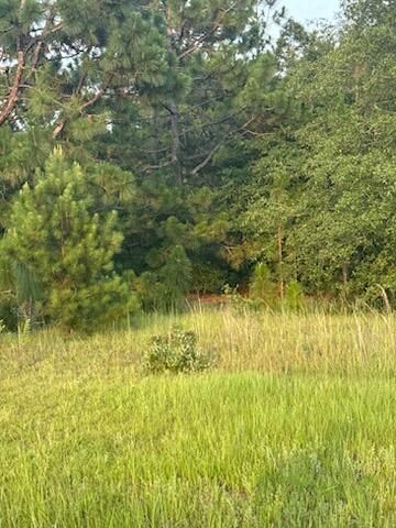 5584 Rosemont Drive, Appling, GA 30802