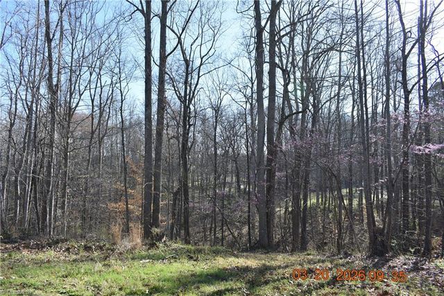 6640 Lake Brandt Road, Summerfield, TN 37358