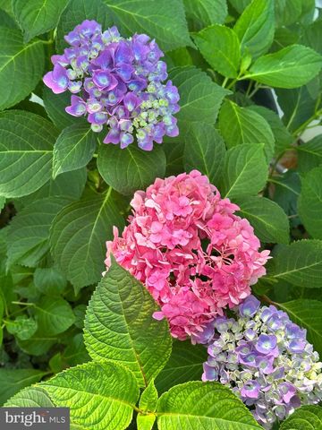 17736 LARCHMONT TER, Gaithersburg, MD 20877