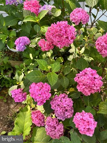 17736 LARCHMONT TER, Gaithersburg, MD 20877