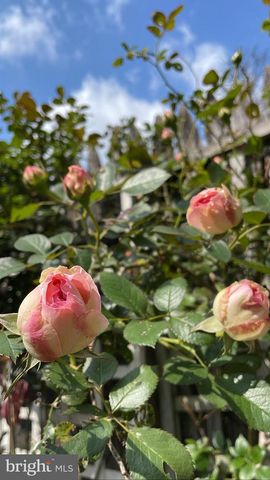 17736 LARCHMONT TER, Gaithersburg, MD 20877