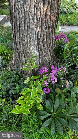 17736 LARCHMONT TER, Gaithersburg, MD 20877