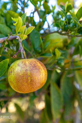 510 Fairbourne Place, Oxnard, CA 93033