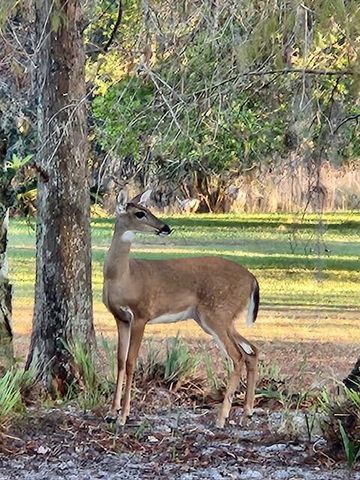 8557 SE Retreat Drive, Hobe Sound, FL 33455