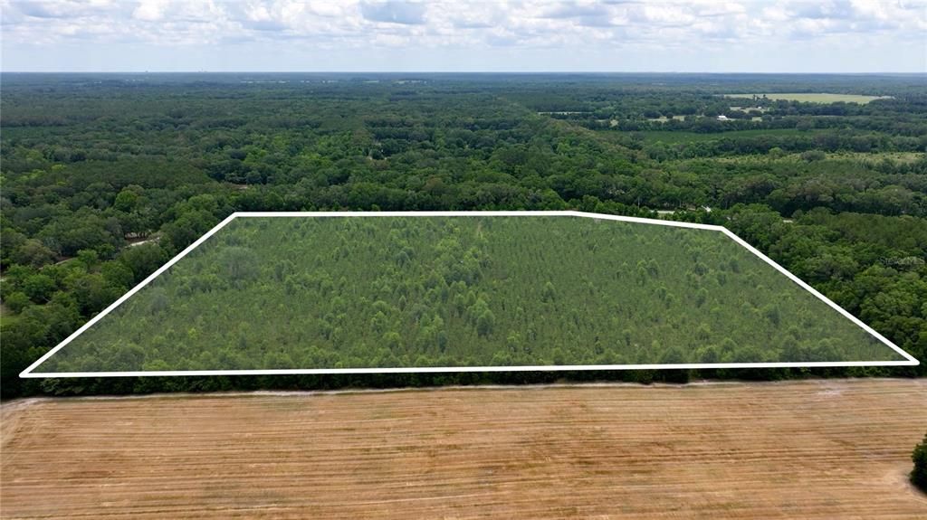 CR 235, Newberry, FL 32669