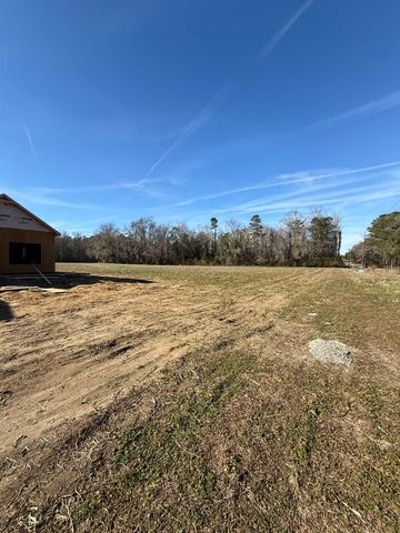 Tract 3 Highway 668, Conway, SC 29526