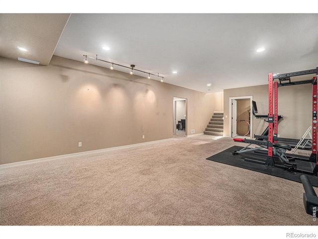 4609 Freehold Drive, Windsor, CO 80550