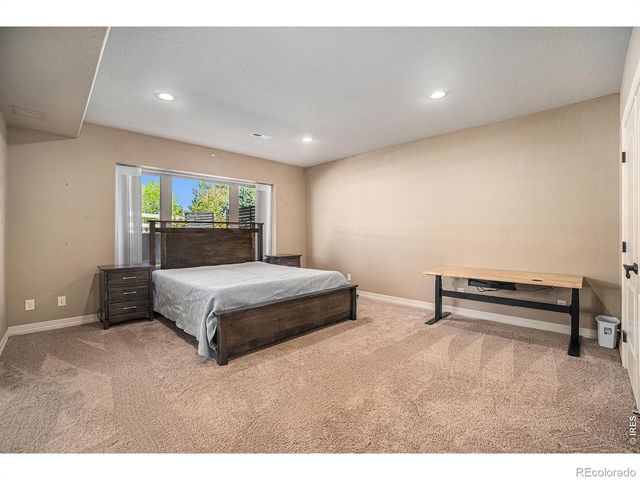 4609 Freehold Drive, Windsor, CO 80550