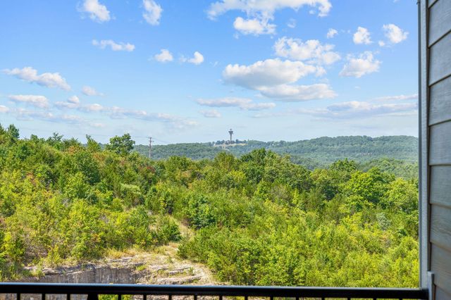 3010 N Vineyards Terrace 5, Branson, MO 65616