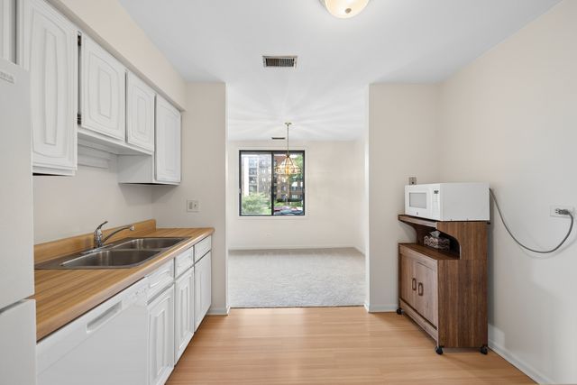 456 Raintree Court 2C, Glen Ellyn, IL 60137