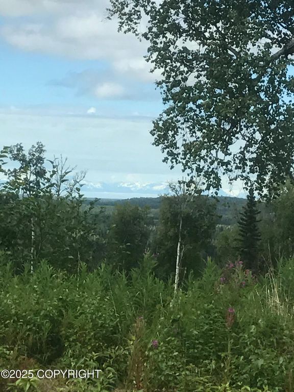 L15-A Gloria Burns Circle, Soldotna, AK 99669