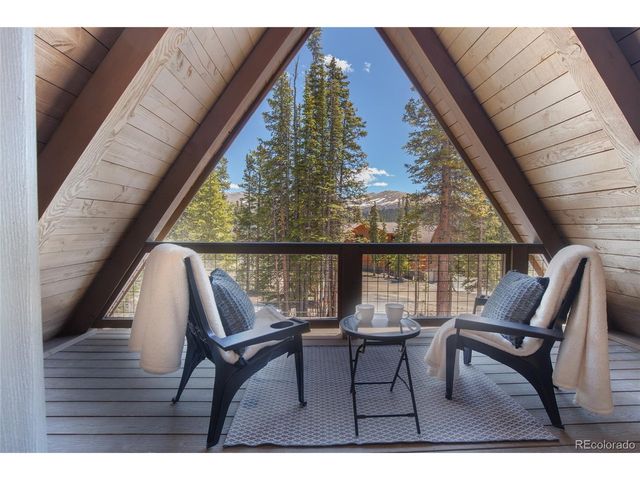 297 Robertson Ln, Breckenridge, CO 80424