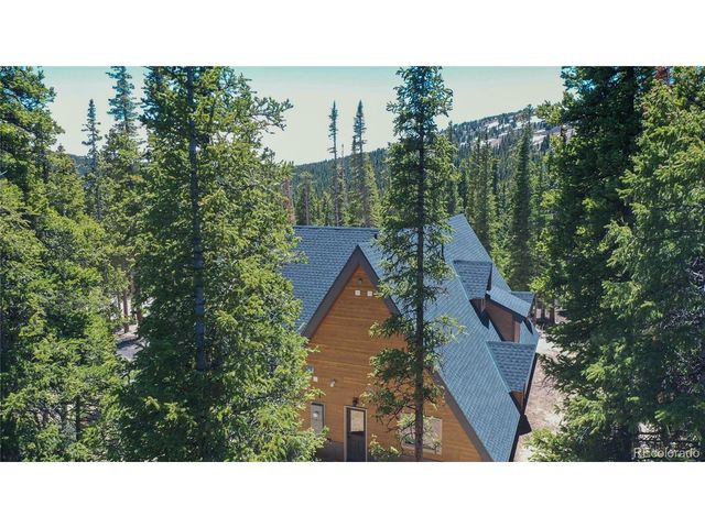 297 Robertson Ln, Breckenridge, CO 80424