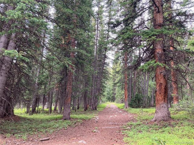297 Robertson Ln, Breckenridge, CO 80424