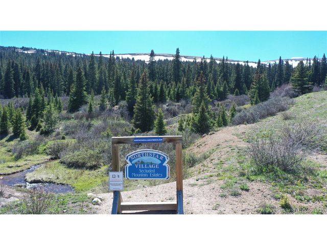297 Robertson Ln, Breckenridge, CO 80424