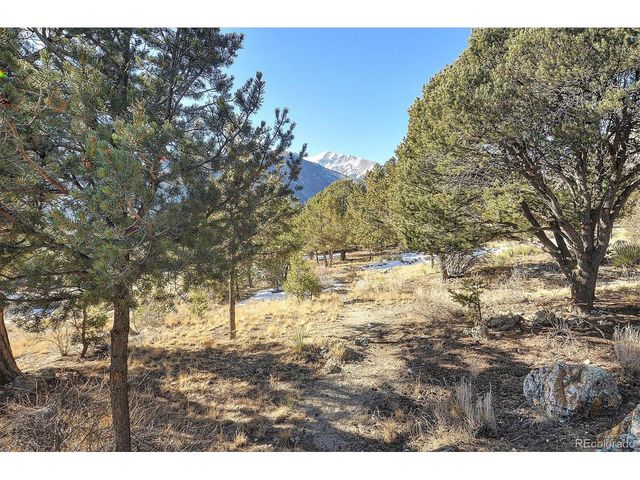 16819 County Road 162 A, Nathrop, CO 81236