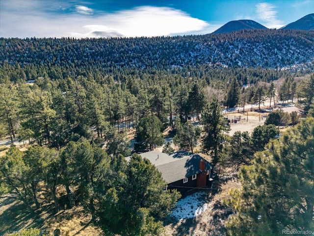 16819 County Road 162 A, Nathrop, CO 81236