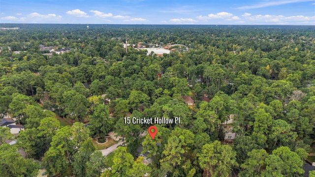 15 Cricket Hollow Place, The Woodlands, TX 77381
