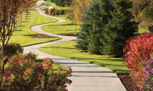 11470 Halstead Trail, Woodbury, MN 55129