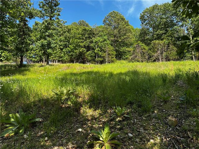 Lot 81 Tanglewood Resort 2, Rogers, AR 72756