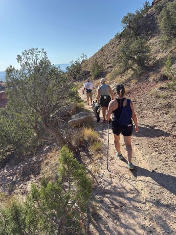 1403 Oak Creek Avenue, Fruita, CO 81521