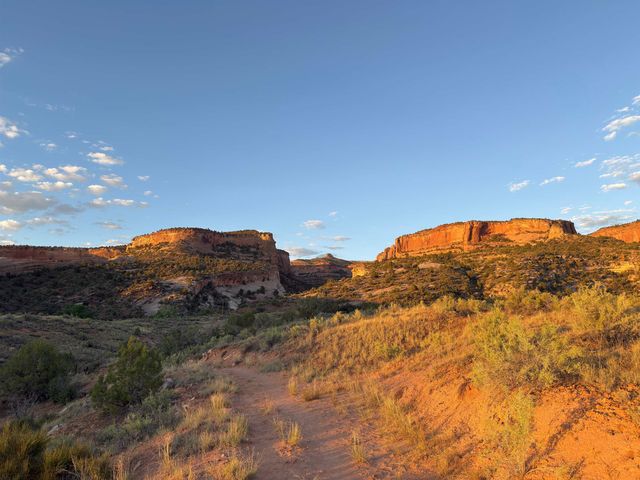 1403 Oak Creek Avenue, Fruita, CO 81521