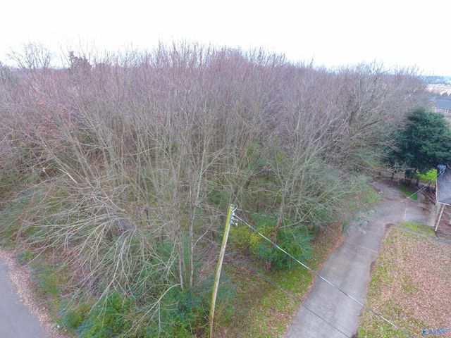 220 Jamie Lane, Toney, AL 35773