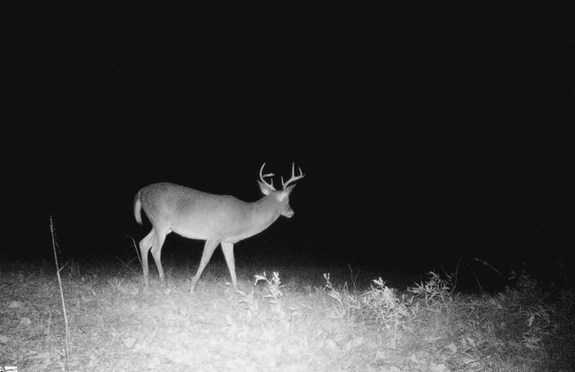 790 Highway 418, Simpsonville, SC 29680