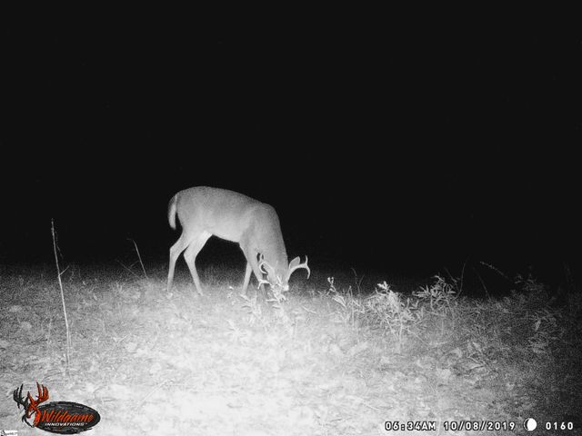 790 Highway 418, Simpsonville, SC 29680