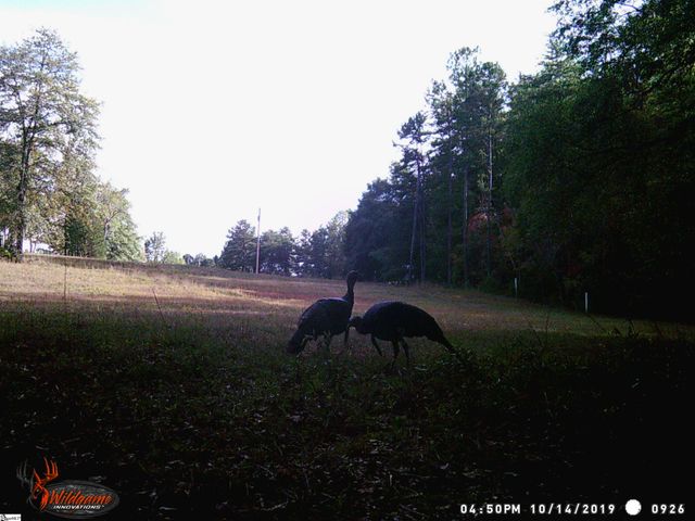 790 Highway 418, Simpsonville, SC 29680