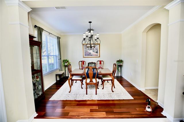 19822 PRINCE BENJAMIN DRIVE, Lutz, FL 33549