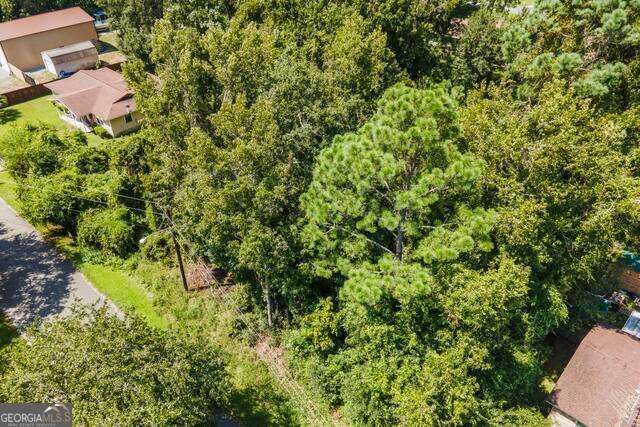 LOT 5B Dufour Road, St. Marys, GA 31558