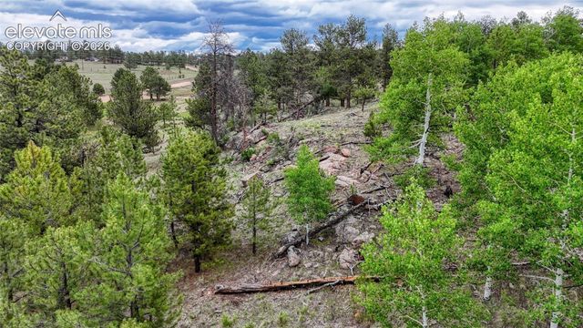330 Arrowhead Drive, Florissant, CO 80816