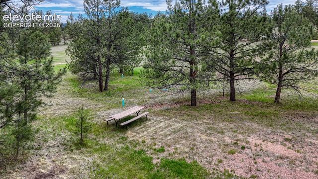 330 Arrowhead Drive, Florissant, CO 80816