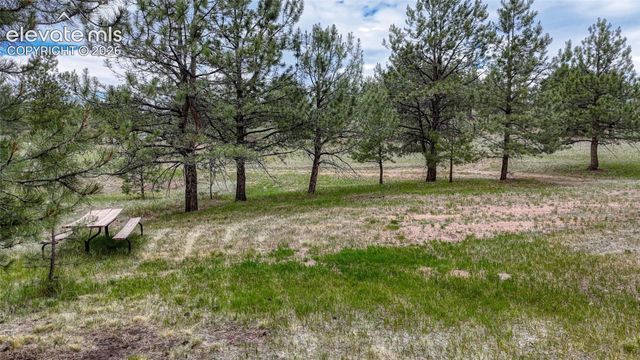 330 Arrowhead Drive, Florissant, CO 80816