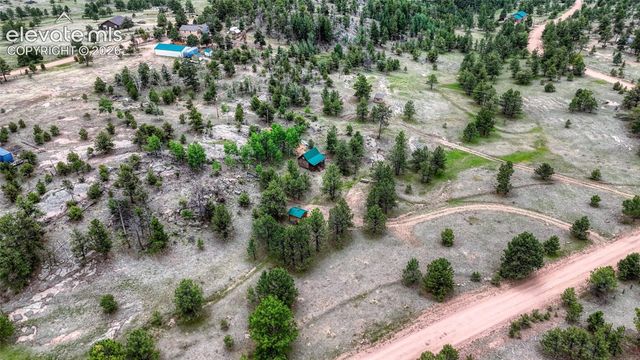 330 Arrowhead Drive, Florissant, CO 80816
