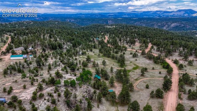 330 Arrowhead Drive, Florissant, CO 80816