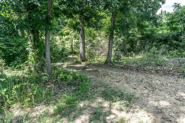 265 Black Road, Greeneville, TN 37743