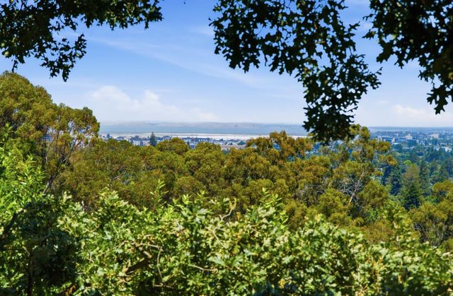 643 Vista Drive, Redwood City, CA 94062