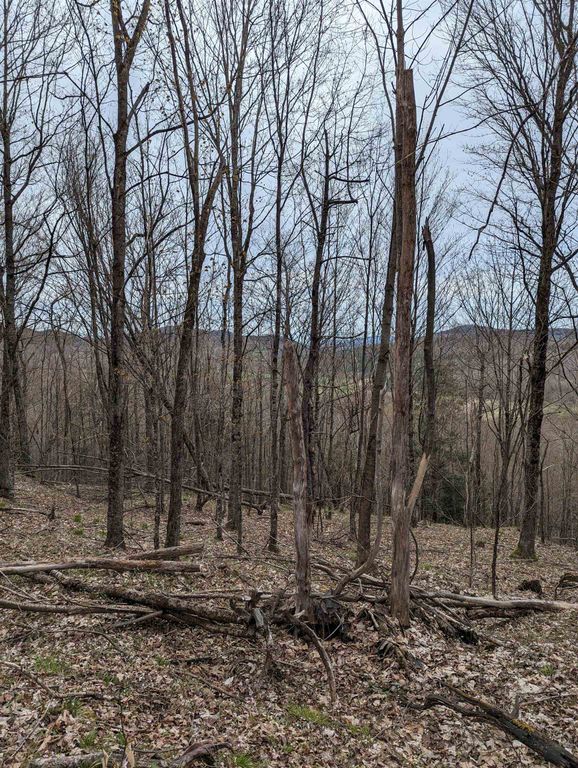 449 & 120 Dodd Road, Fairfield, VT 05448