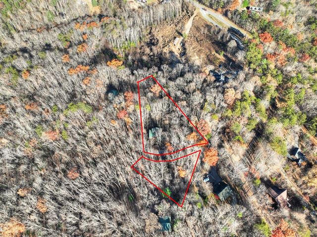 22 Running Bear Ridge, Blue Ridge, GA 30513