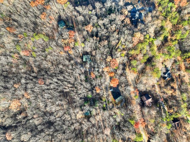 22 Running Bear Ridge, Blue Ridge, GA 30513