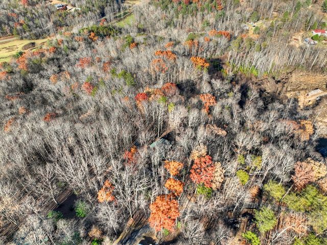 22 Running Bear Ridge, Blue Ridge, GA 30513