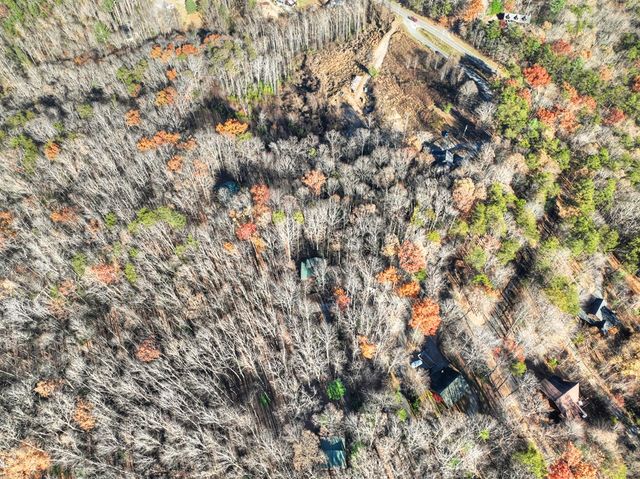 22 Running Bear Ridge, Blue Ridge, GA 30513