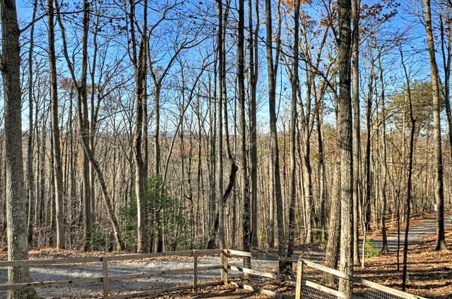 22 Running Bear Ridge, Blue Ridge, GA 30513