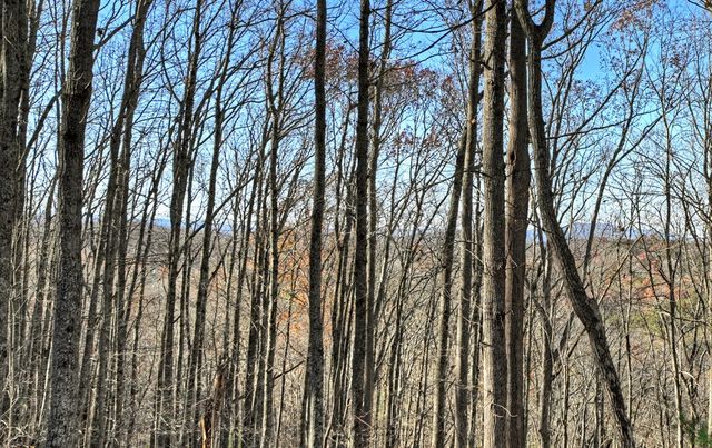 22 Running Bear Ridge, Blue Ridge, GA 30513