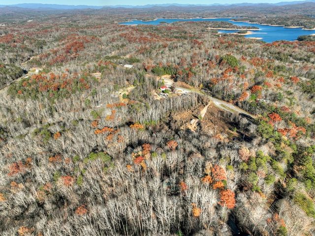 22 Running Bear Ridge, Blue Ridge, GA 30513