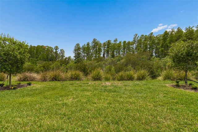 29534 GINNETTO DRIVE, Wesley Chapel, FL 33543